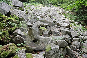 Stone river called also stone run, stone stream or stone sea  on mountain Vitosha, near upper Alekoâ€™s waterfalls