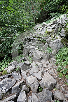 Stone river called also stone run, stone stream or stone sea  on mountain Vitosha, near upper Alekoâ€™s waterfalls