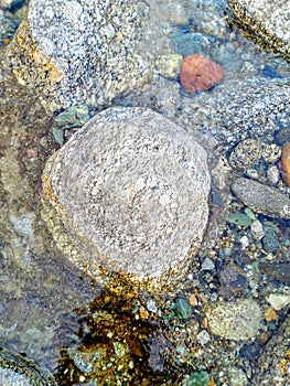 Stone In River Palampur Himachal Pradesh India