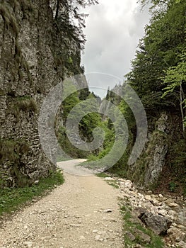stone road between high rocks