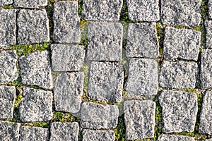 Stone road paved with asymmetrical stones with sprouted grass at seams. Textured background