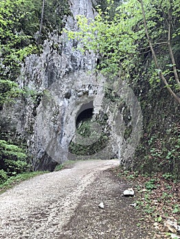 stone road to the cave
