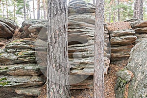 Stone rock In the foreground are tree trunks