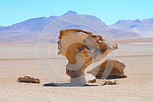 Stone rock formation - Arbol de piedra