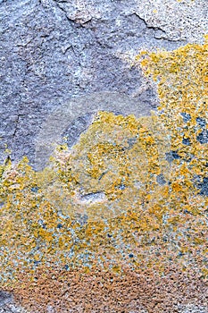 Stone rock moss background