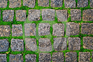 Stone or rock old road covered by green moss and grass texture background