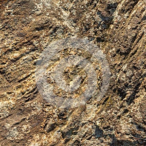 Stone/Rock Surface Texture