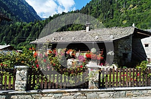 stone roofed house stone wall with flowers, mountain forest landscape, & x28;Alagna& x29; Italy photo