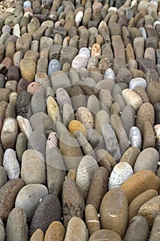 Stone Rows