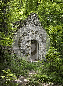 Stone Ruin in a Forest