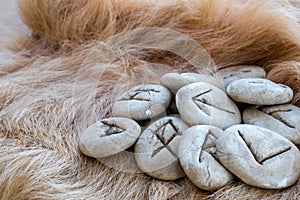 Stone runes on a animal fur. Futhark viking alphabet. Close up photo of Norse runes