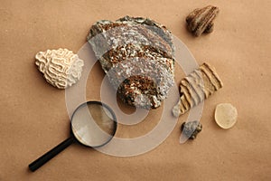 Stone samples at geological laboratory. Geology rock laboratory. Laboratory for analysis of geological soil materials, stones,