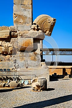 Stone sculpture of a horse in Persepolis against a blue sky with clouds. Iran. Persia.