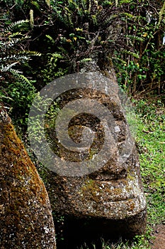 Stone sculpture on the island of Floreana photo