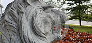 Stone Sculpture of Lion Head