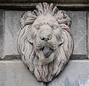 Stone sculpture of medieval lion head