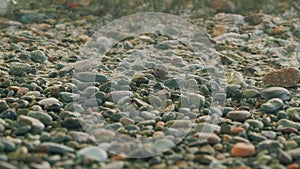 Stone At The Sea. Colorful Rolling Stones Sea Bottom. Multicolored Colorful Sea Pebbles.