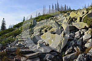 Stone sea Sumava, near Trojmezi / 3 border rock stone