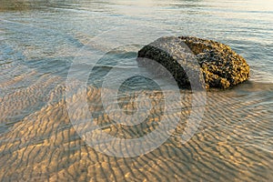 Stone in sea water on sandy rippled bottom in sunlight textured nature abstract background