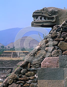 Stone serpent head photo