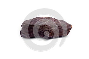 Stone of Shale specimen on white background.