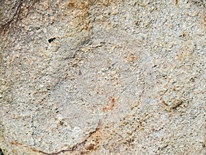 Stone-shaped texture in daylight