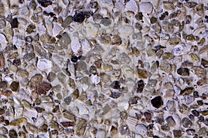 Stone and shell wall texture