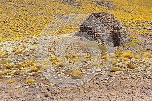 Stone Shelter at Arid Landscape, La Rioja, Argentina