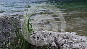 Stone on the shore of the lake, rock