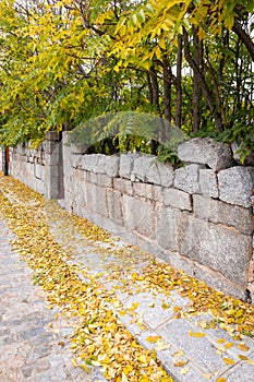 Stone sidewalk covered with fallen yellow autumn leaves, Avila, Spain.