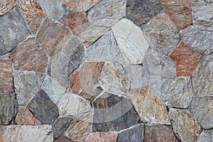 Stone slab as background. The background consists of many rock sheets.