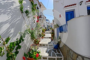 Stone slated alley with limewashed houses