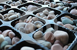Stone Soil For Exotic Plants In Cells Of Seedling Tray Closeup Angle View