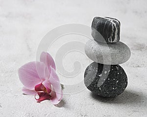 Stone spa with pink orchid flower