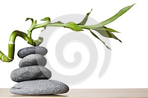 Stone Stack and Spiral Bamboo