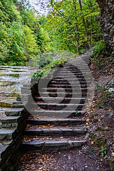 Stone stair in forest in Buttermilk Falls State Park