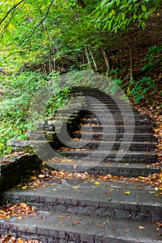 Stone stair in forest in Buttermilk Falls State Park