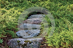 Stone stair pathway trail steps, grey and red colorful granite rock stairway pavement path in sunny summer garden, large detailed