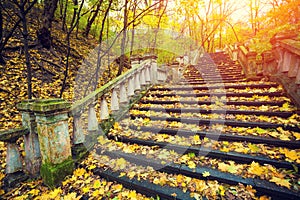 Stone staircase in the autumn park