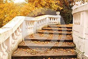 Stone staircase with fallen leaves autumn season