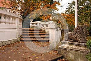 Stone staircase with fallen leaves in park autumn