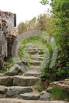 Stone staircase leading through shrubbery