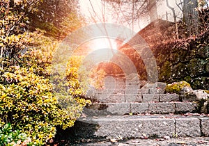 Stone staircase leading up a walkway through the Japanese temple.