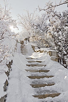 Stone staircase in the snow.