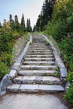 Stone staircase up to blue sky, with wildflowers and evergreen trees along side