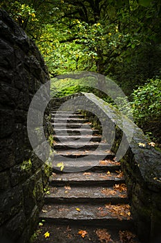 Stone staircase in woods
