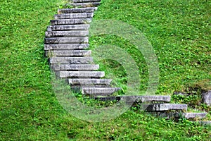 Stone stairs covered in grass