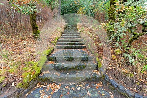 Stone Stairs at Eagle Creek Overlook