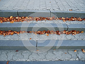 Stone stairs with figured tiles, orange leaves on surface