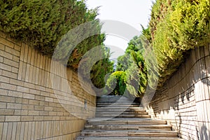 Stone stairs in the green garden. Well-groomed area